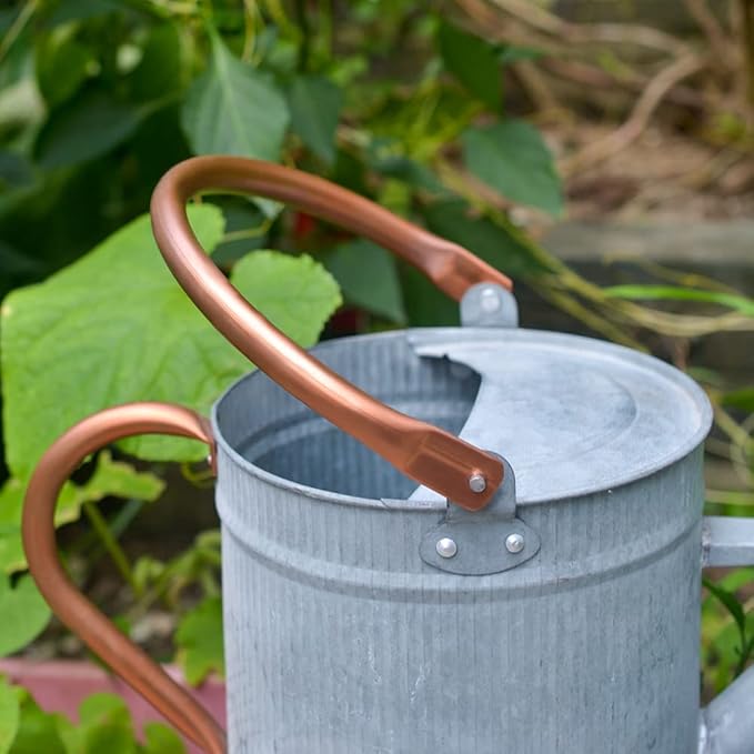 1 Gallon Watering Can, Metal Watering Can with Removable Spout, Farmhouse Galvanzied Water Can, Nice Plant Water Can for Indoor Use and for Outdoor Use