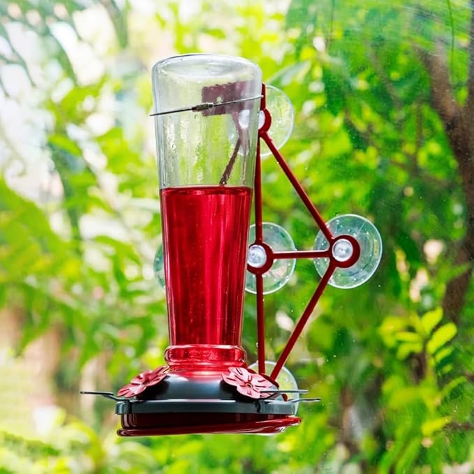 Window Hummingbird Feeder with 5 Strong Suction Cup 32 Ounces Colorful Hand-Blown Glass Hummingbird Feeder for Outdoor Patio Hanging Windows Mount (Transparency)