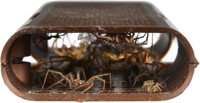 RESCUE! Spider Traps – Catches Brown Recluse, Hobo Spiders, Black Widows & Wolf Spiders - 4 Pack (12 Traps)