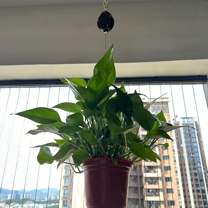 Update Retractable Plant Hanger with Pulley System - 2 Pack Adjustable 1.6M Stainless Steel Plant Hooks for Pots, Bird Feeders & Storage | 15kg/33lbs Max Load, Rustproof Indoor/Outdoor Use