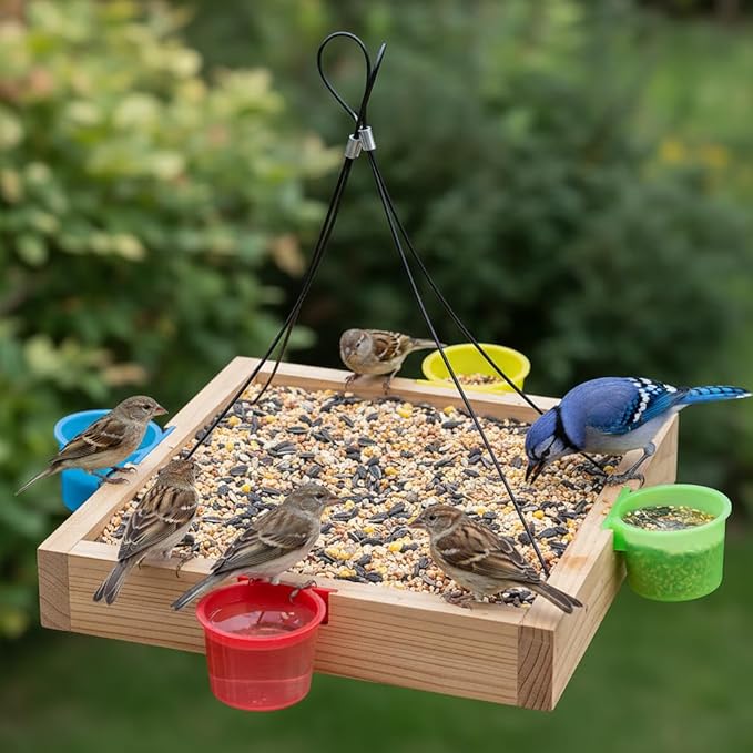 Water Feeder Platform Tray Bird Feeder 12” - Hanging Bird Feeder for Outside Outdoor - Stainless Steel Cable Mesh Base - Weather Proof Birdfeeder for 10 Years - Longtime Outdoor Lasting Heavy Duty