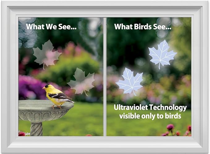 WindowAlert Maple Leaf Anti-Collision Decal - UV-Reflective Window Decal to Protect Wild Birds from Glass Collisions 2-Pack - Made in The USA