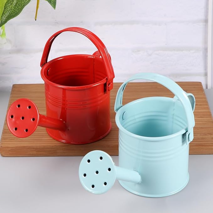 Kids Watering Can Metal Small Watering Can for Indoor Plants, Iron Mini Water Bottle for Garden Yarde Home Plants Flower Bonsai Pots (Red and Light, 2PCS)