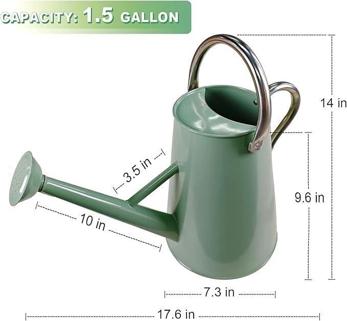 Watering Can for Outdoor&Indoor Plants，1.5 Gallon（5.7L） Metal Watering Can with with Removable Spout，Large Galvanized Steel Garden Flower Water Can Watering Pot with 2 Handles，Cream Green