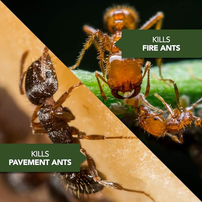 BioAdvanced Ant Killer Outdoor, Dust, 1 lb, 130 Mounds, Ant Powder Killer Outdoor (Pack of 2)
