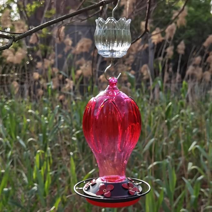 Glass Ant Moat for Hummingbird Feeder - 2PC x 3 OZ Clear Tulip Insect Guard with Large Capacity