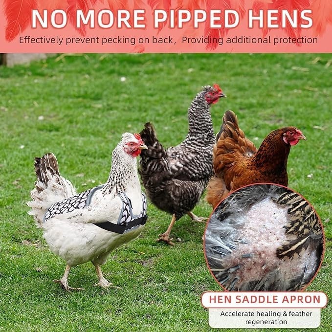 Chicken Saddles for hens, Chicken Apron Back Protector for Hens With Adjustable Strap, Chicken Hen Mating Saddle