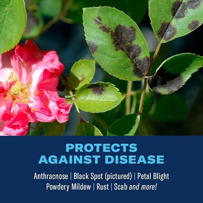 BioAdvanced 3-in-1 Insect, Disease, and Mite Control Concentrate - Insecticide, Fungicide & Miticide - Mix & Spray - Prevents Listed Pests and Diseases - Up to 30 Days Protection - 32 oz Bottle