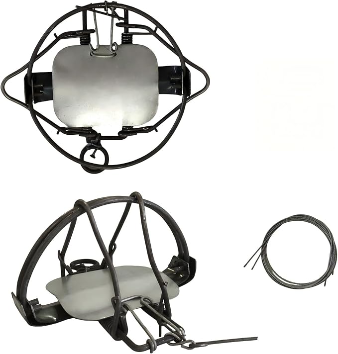 2 Pack Humane Small Animal Spring Cage Trap, Reusable Easy Setup Trap for Farms, Yards and Gardens for Groundhogs, Moles, Squirrels, Possums (7in-Galvanized)