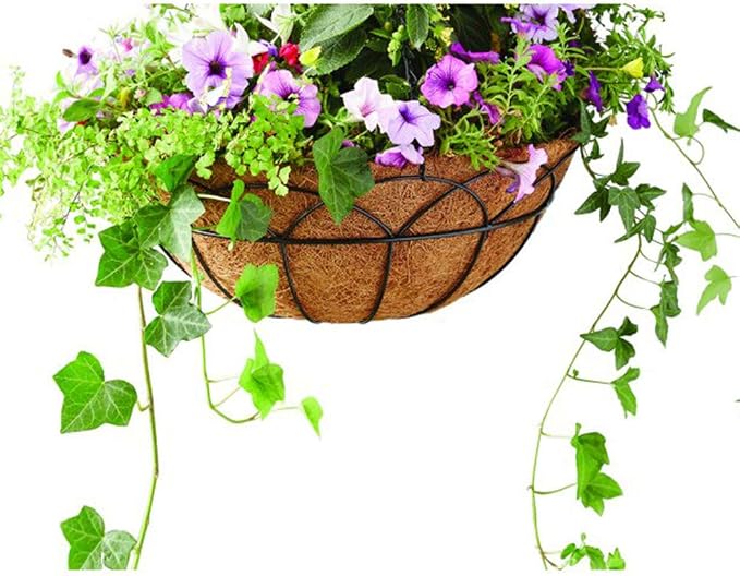 Coco Liners for Planters Round Basket Shaped Coconut Fiber Replacement Liners (2, 10 Inch)