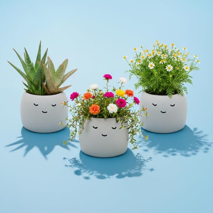 BUZZY Seeds Peaceful Face Planter Grow Kit, 3-Pack – Aloe, Moss Rose & Chamomile Seed Starter Pots with Growing Medium, Cute Decorative Face Pots, Indoor Gardening Gift Set