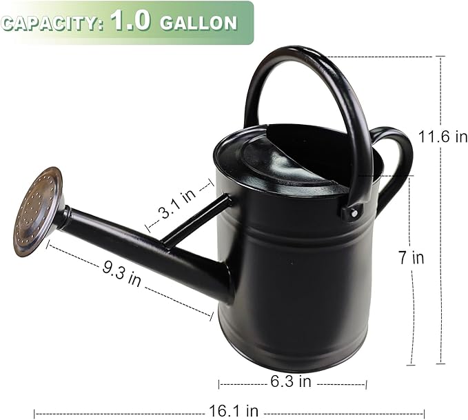 Watering Can for Outdoor&Indoor Plants，1 Gallon Metal Watering Can with with Removable Spout，Galvanized Steel Garden Flower Water Can Plant Watering Pot with 2 Handles，Black