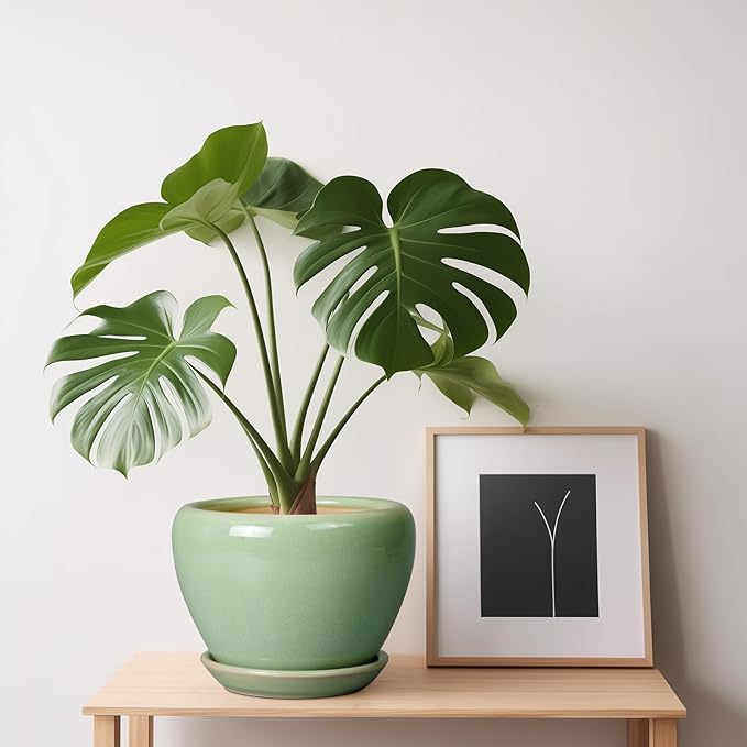 Ceramicfor 6 Inch Plant Pot - Ceramic Planter for Indoor Plants Round Planter Outdoor Plant Pot with Drainage Hole and Saucer Modern Flower Pot for Succulent Garden Green