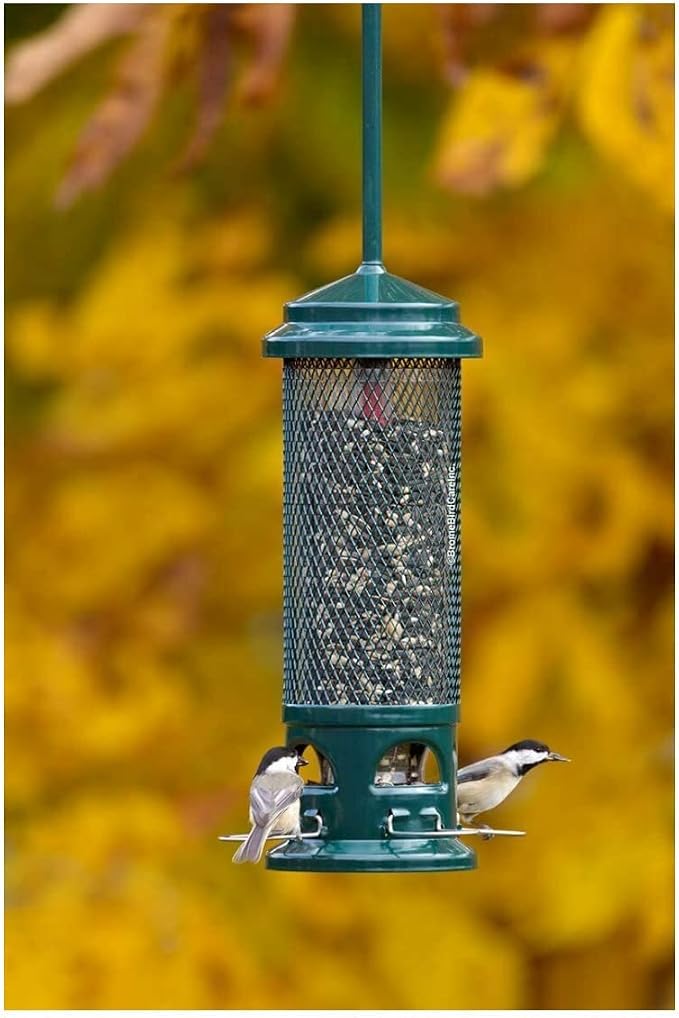 Squirrel Buster Legacy Squirrel-Proof Bird Feeder w/4 Metal Perches, 2.6-Pound Seed Capacity & Wagner's 62012 Southern Regional Blend Wild Bird Food, 20-Pound Bag