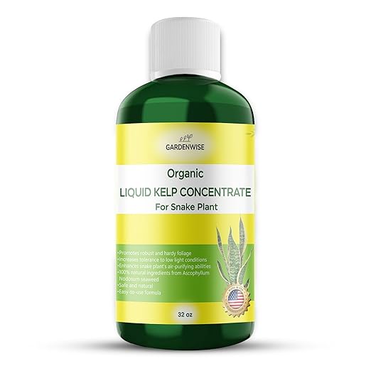 GARDENWISE Organic Seaweed Kelp Liquid Fertilizer for Snake Plant (Sansevieria, Dracaena Trifasciata) - Food and Care for Live Plants (32 OZ)