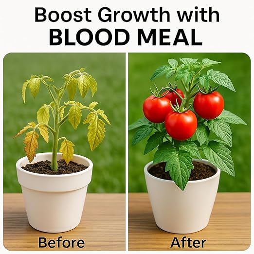 𝐁𝐄𝐒𝐓𝐒𝐄𝐋𝐋𝐄𝐑 Organic Blood Meal Fertilizer by Gardenera - 12-0-0 NPK - All-Natural Plant Food Source of Nitrogen for Organic Gardening, Flowers, Vegetables, Trees & Shrubs - 4 QUARTS
