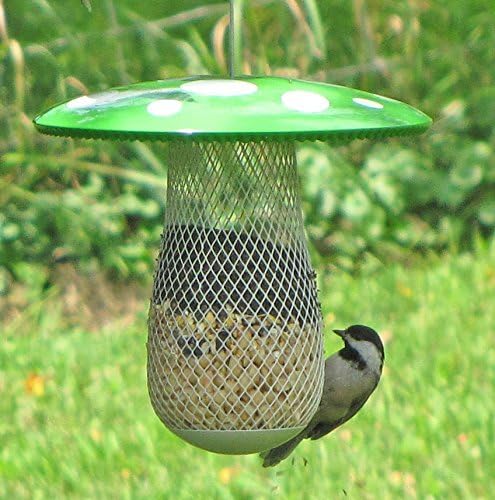 Best Wild Bird Feeder to Attract More Tree clinging Birds Fill it with Sunflower Black Oil Seed Peanuts and Suet Pellet Easy to Install Clean & Fill