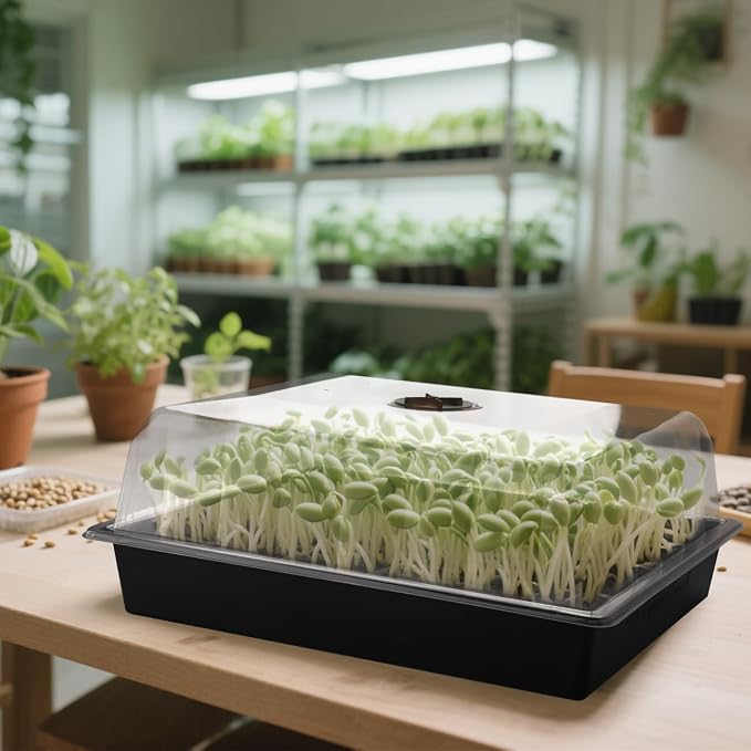 RooTrimmer 10-Pack Leak-Proof Humidity Domes, Plastic Clear Seed Starter Dome, Seed Starter Tray Covers Humidifying and Insulating for Greenhouse Germination and Garden Growing (16"×13", 4" Height)