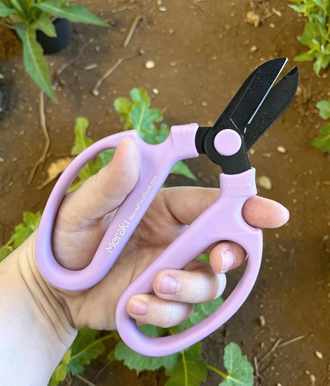 Garden Pruning Shears Scissors Carbon Steel Blades 6.7 In, Snapdragon - Lavender