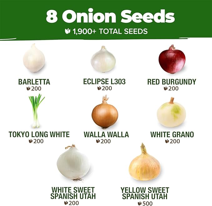 HOME GROWN 8 Onion Variety Mix 1600+ Heirloom Non-GMO Seeds for Planting, High Germination, Red, Yellow, White, Sweet Vidalia, Spanish Bulb Onions, Green Scallions, Indoor Outdoor Garden (Allium cepa)