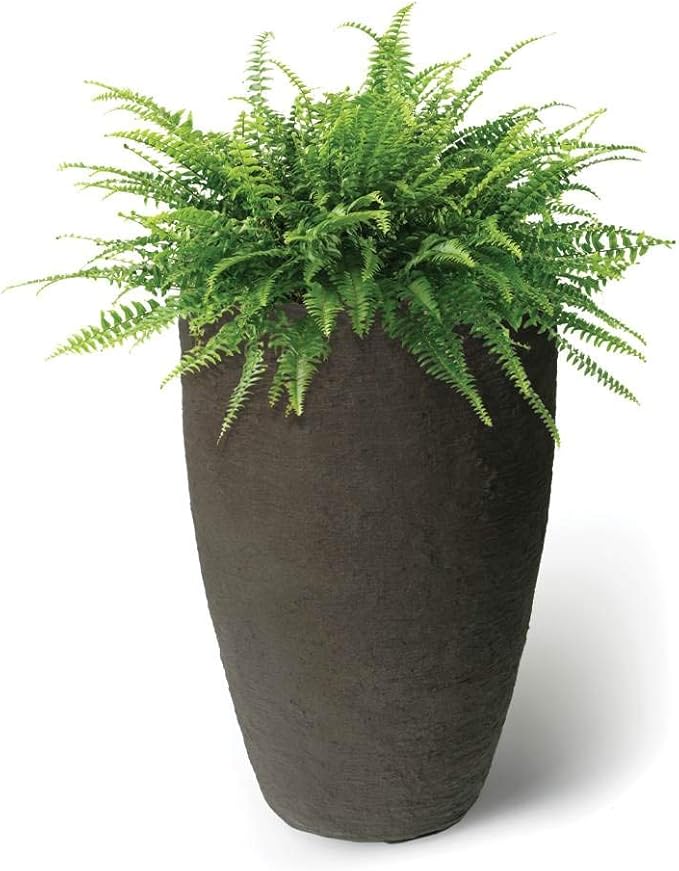 Algreen Products 87313 Athena Self-Watering Planter, Large, 17.5" DIA x 28.5" H, Brownstone