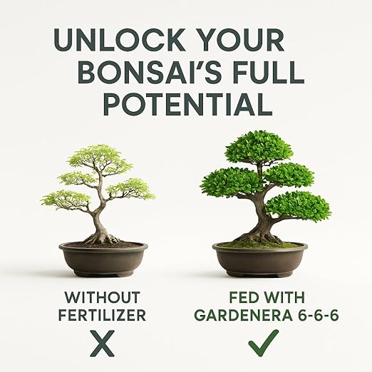 𝐁𝐄𝐒𝐓𝐒𝐄𝐋𝐋𝐄𝐑 Bonsai Fertilizer Pellets – Slow-Release Bonsai Tree Fertilizer & Food for Compact Growth, Dense Branching & Healthy Roots | Ideal for All Bonsai & Money Trees - 1 Quart