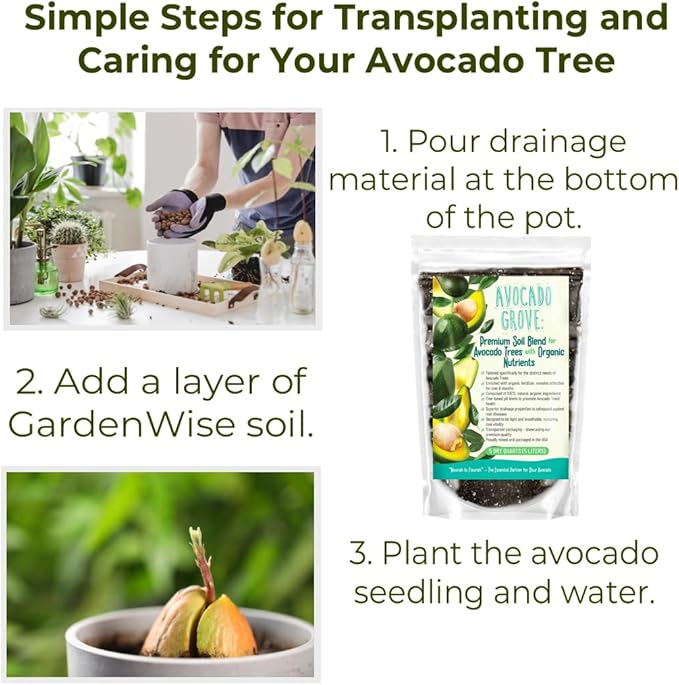 GARDENWISE Avocado Tree Soil – Premium Organic Potting Mix for Avocado Trees | Tailored pH & Organic Nutrients | Fast-Draining & Moisture-Retaining | Indoor & Outdoor Use (5 QUARTS)