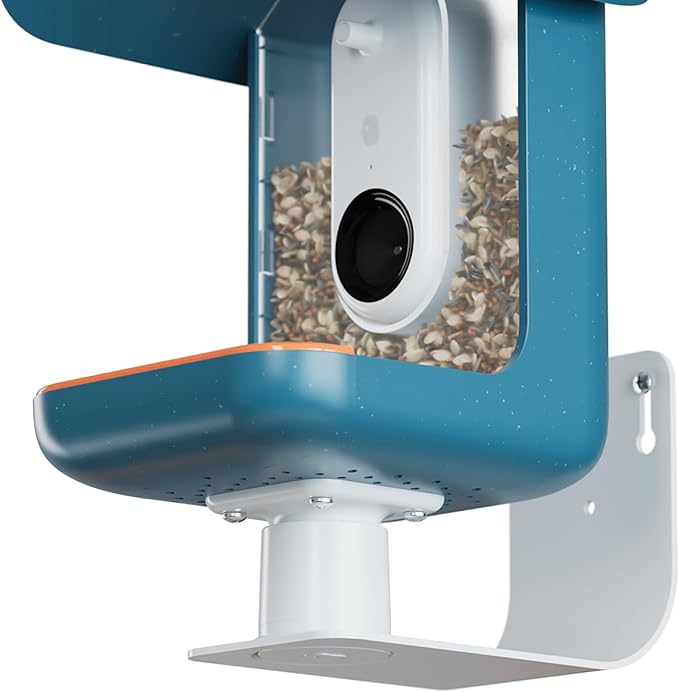Birdbuddy Wall Mount - Versatile Bird Feeder Wall Mount for Wall & Fences - Durable, Weather-Proof Heavy Duty and Secure & Stylish Outdoor Feeder Accessory
