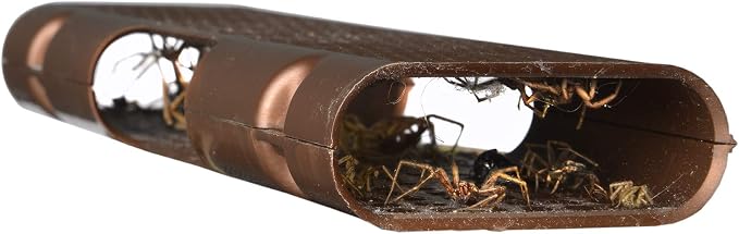 RESCUE! Spider Traps – Catches Brown Recluse, Hobo Spiders, Black Widows & Wolf Spiders - 4 Pack (12 Traps)