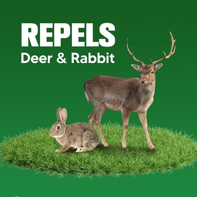 Deer Repellent for Plants, Rabbit Repellent Outdoor, Deer and Rabbit Repellent for Plants, Garden, Trees, Safe for People, Pets and Plants, Lasts Up to 60 Days - 12 Packs