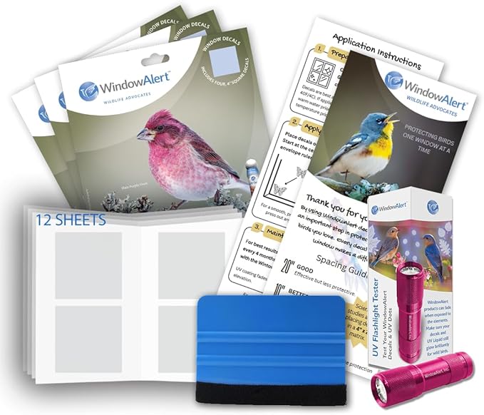 WindowAlert Classic Square Large Starter Pack - Bird Strike Prevention Decals (12 Envelopes) with UV Tester Flashlight & Application Squeegee - Made in USA
