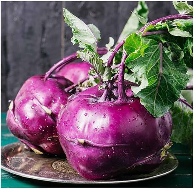 White Vienna Kohlrabi Seeds