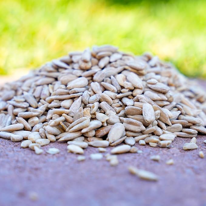 Desert Valley Sunflower Hearts and Chips Seed, All Natural, Non-GMO Premium Wild Bird and Wildlife Food (10-Pounds)