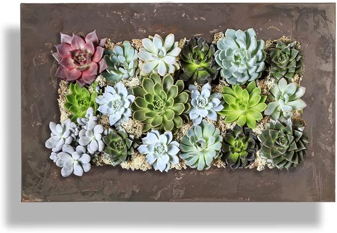Modern Home Living Wall Galvanized Steel/Zinc Succulent Planter, Wall Mounted Garden Pocket Planter (Horizontal 18 Pocket, Rust Zinc)