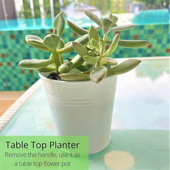 LaLaGreen Bundle - 6" x 10 Pack + 4" x 10 Pack White Metal Iron Hanging Flower Pots Balcony Railing Herb Garden Bucket Fence Planter for Outdoor Plants Flower Deck Rail Porch Window Box Hooks