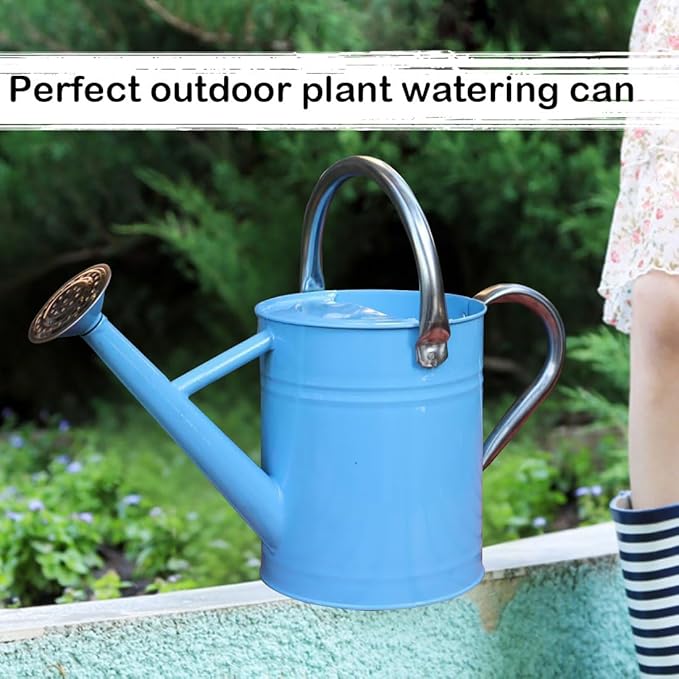Metal Watering Can 1 Gallon with Removable Spout, Ideal Plant Watering Can for Indoor and Outdoor Plants (Blue 1 Gallon)