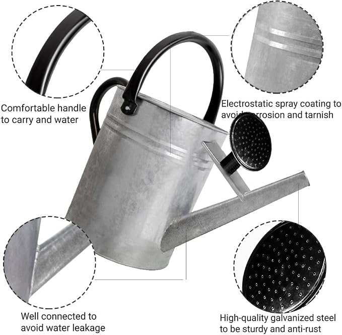 1 Gallon Metal Watering Can with Removable Spout, Nice Galvanized Steel Water Can for Indoor and Outdoor Plants (House Plants)