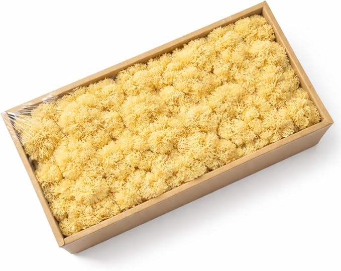 Cigarlemon Preserved Reindeer Moss, 17.64oz Natural Decorative for Home Decor, DIY Crafts, Moss Wall Art, Terrariums, Floral Arrangements, Wedding & Holiday Decorations (Pale Yellow)