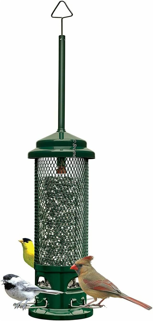 Squirrel Buster Legacy Squirrel-Proof Bird Feeder w/4 Metal Perches, 2.6-Pound Seed Capacity & Wagner's 62004 Eastern Regional Wild Bird Food, 20-Pound Bag