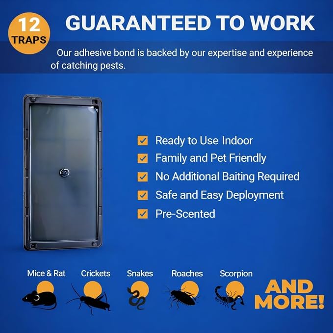Glue Traps Indoor for Home, 12 Pack, Bulk Glue Traps for Rats, Mice, Snakes and Lizards, Non-Toxic, Adhesive Plastic Trays, Insect, & Spider, Pet Safe Pest Control