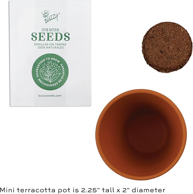 BUZZY Seeds Forget-Me-Not Terracotta Mini Grow Pots Love Collection, 12-Pack All-in-One Gardening Kit for Wedding Favors, Prizes, Birthday Gifts, Party Favors, Bridal Showers, Valentines