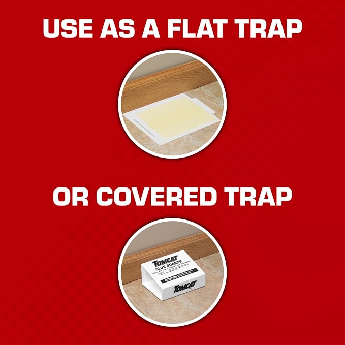 Tomcat Glue Boards with Eugenol — Enhanced Stickiness for Mice, Cockroaches & Insects, Flat or Covered Use, Ready-To-Use, 4 Traps