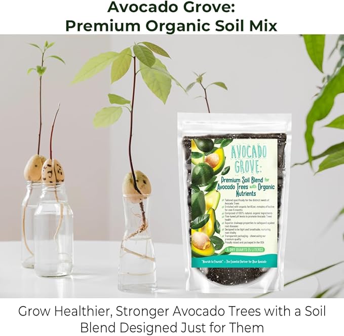 GARDENWISE Avocado Tree Soil – Premium Organic Potting Mix for Avocado Trees | Tailored pH & Organic Nutrients | Fast-Draining & Moisture-Retaining | Indoor & Outdoor Use (2 QUARTS)