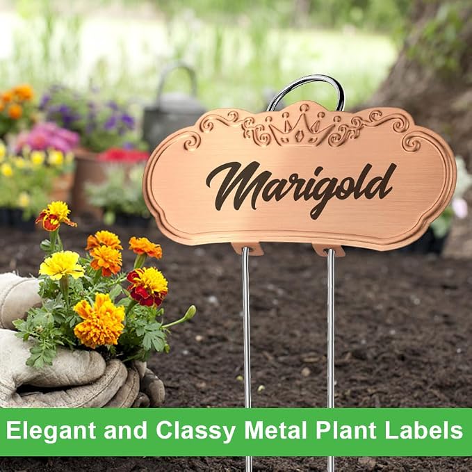 30 Packs Metal Plant Labels, Tall Outdoor Garden Markers for Flowers, Fruits and Vegetables, 304 Stainless Steel Weatherproof Signs (4" x 1.9", Silver, Black and Gold)