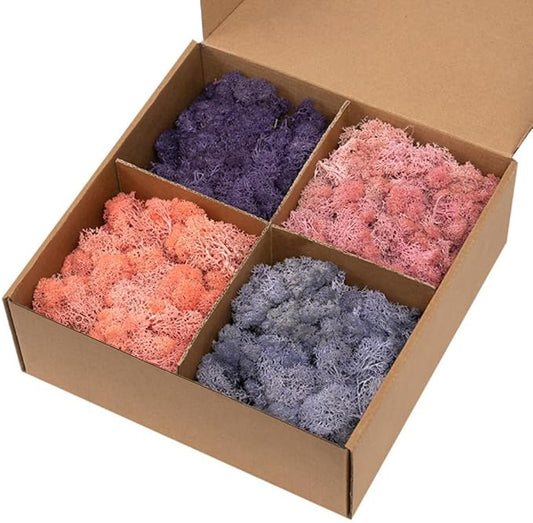 Preserved Reindeer Moss, Natural Decorative for Home Decor, DIY Crafts, Moss Wall Art, Terrariums, Floral Arrangements, Wedding & Holiday Decorations, Total 14oz (Rosy Meadow)