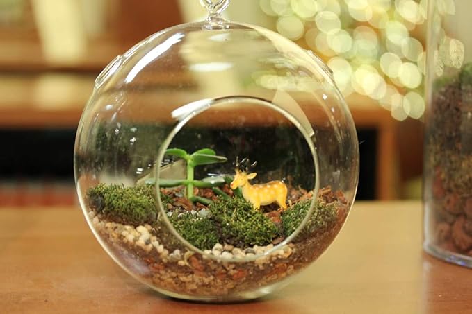 WGV Hanging Terrarium Globe, Width 7", Height 8", DIY Air Succulent Planter, Clear Glass Vase Orb with Flat Bottom, Candle Holder Outdoor Garden Decor, 6 Pieces