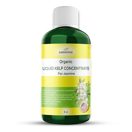 GARDENWISE Organic Premium Kelp Seaweed Fertilizer for Jasmin - Liquid Fertilizer - Liquid Plant Food - Nutrient-Rich Soil Enhancer - Natural Plant Food for Jasmin (8 OZ)