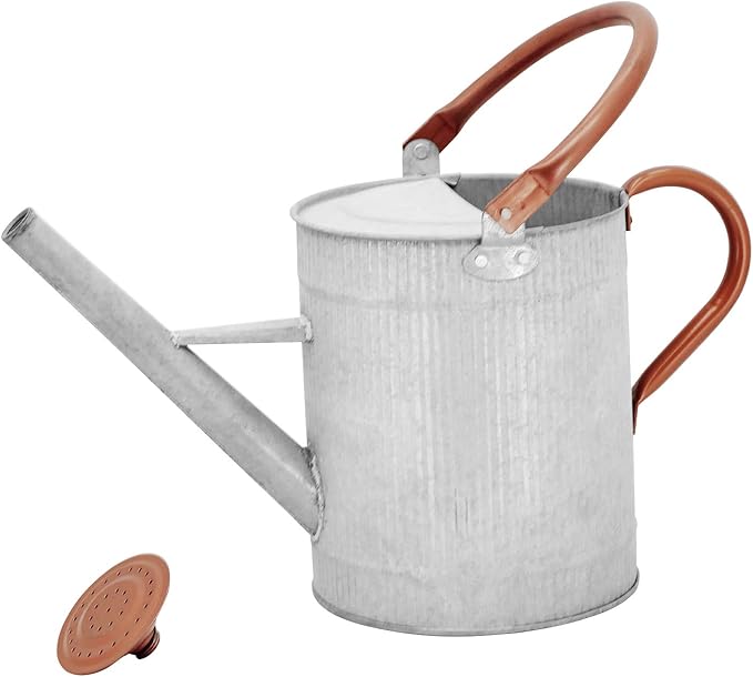 1 Gallon Watering Can, Metal Watering Can with Removable Spout, Farmhouse Galvanzied Water Can, Nice Plant Water Can for Indoor Use and for Outdoor Use