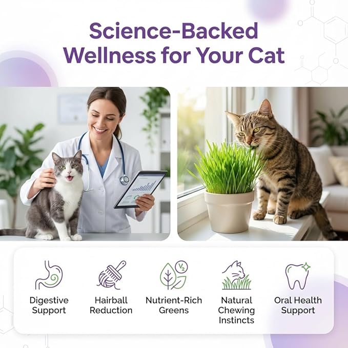 NatureZ Edge Premium Cat Grass Seeds for Indoor Cats, Non GMO - 1/2 lb Oat & Barley Grass for Indoor Cats, Cat Plant, Kitty Lawn, Pet Grass, Hierba para Gatos, Made in USA