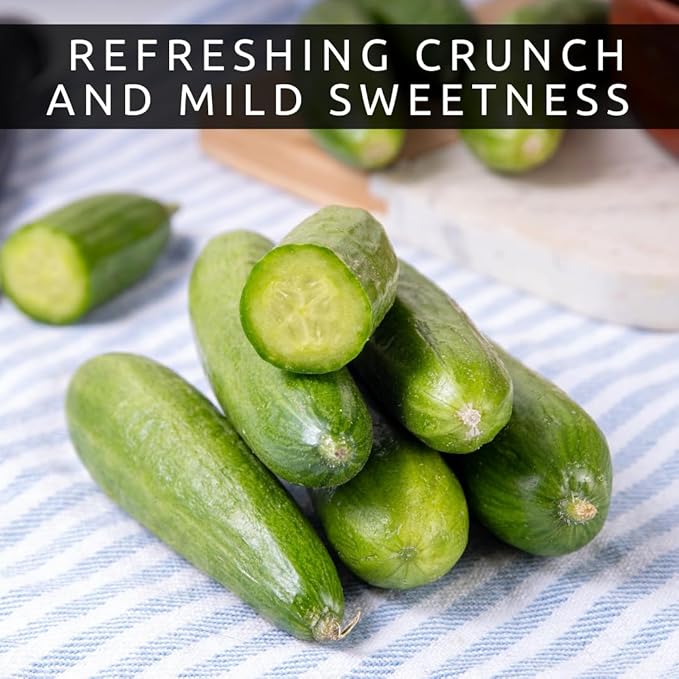 Mini Me Cucumber Seeds for Planting – 10+ Premium Mini Vegetable Garden Seeds – High-Yield Compact Cucumbers for Containers, Raised Beds & Backyard Gardens – Grow Your Own Fresh Food